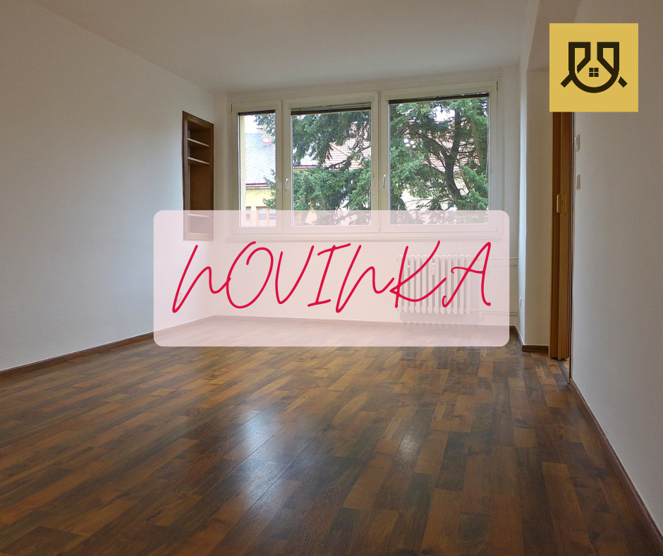 Pronájem bytu 1+1 - Mladá Boleslav